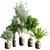 Botanical Bliss Indoor Plant Set 3D model small image 1