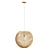 Coastal Rattan Sphere Pendant 3D model small image 2