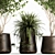 Rustic Metal Pot Plant Collection 3D model small image 2