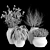 Botanical Bliss: Indoor Plant Collection 3D model small image 6