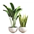 10-Piece Indoor Plant Set 3D model small image 3