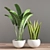 10-Piece Indoor Plant Set 3D model small image 4