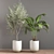 10-Piece Indoor Plant Set 3D model small image 6