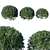 Delicate Fragrant Aglaia Plant 3D model small image 1