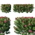 Nerium Oleander 05: Elegant Floral Collection 3D model small image 1