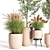 Modern Indoor Plant Stand 09 3D model small image 2