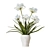 Outdoor Agapanthus Drop-In Plant 3D model small image 5