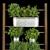 Indoor Hanging Plant Collection 3D model small image 2