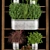 Indoor Hanging Plant Collection 3D model small image 3