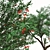 Pomegranate Tree Duo: Perfect Ornamental Fruit Trees! 3D model small image 5