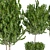 Green Haven: Lush Indoor Plant Set 3D model small image 3