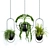 Botanical Bliss: Hanging Indoor Plant Set 3D model small image 1