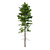 Norway Spruce Set - Realistic 3D Tree Models 3D model small image 4