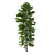 Norway Spruce Trees - V-Ray 3D model small image 5