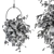 Botanical Beauties: Hanging Plant Set 3D model small image 4