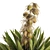 Desert Oasis Yucca Set 3D model small image 4