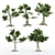 Variety of Kingsville Wood Trees 3D model small image 2