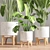 Elegant Plant Stand 28 - Stylish and Functional. 3D model small image 3