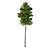 Norway Spruce 3D Tree Set 3D model small image 4