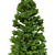 Norway Spruce Set - Realistic 3D Tree Models 3D model small image 2