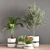 11-Piece Indoor Plant Set 3D model small image 2