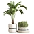 11-Piece Indoor Plant Set 3D model small image 6