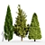 Cone Cypress Rocky Mountain: 6.2m Height 3D model small image 1