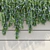 2m Cascading Rosemary: Lush & Fragrant 3D model small image 2