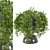 Botanical Bliss: Indoor Plants Set 3D model small image 2