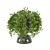 Botanical Bliss: Indoor Plants Set 3D model small image 5
