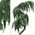 Graceful Weeping Larix Tree Set 3D model small image 5