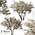 Blooming Serviceberry Trees (2 Trees) 3D model small image 1