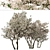 Blooming Serviceberry Trees (2 Trees) 3D model small image 3