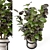 Rusty Concrete Pot Indoor Plants 3D model small image 1