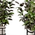 Rusty Concrete Pot Indoor Plants 3D model small image 2