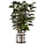 Rusty Concrete Pot Indoor Plants 3D model small image 5