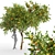 Fruity 2Tree Pair: Apple & Tangerine 3D model small image 2