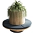 Elegant Seat with Indoor Plants 3D model small image 1