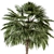 Tropical Duo Palm Tree Set 3D model small image 3