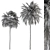 Tropical Duo Palm Tree Set 3D model small image 4