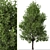 Pair of Lovely Callery Pear Trees 3D model small image 2