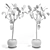 Elastic Ficus Set 3D model small image 2