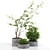 Versatile Outdoor Plant for Modern Spaces 3D model small image 1