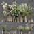 Premium Indoor Plant Collection 3D model small image 1