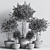 Elegant Indoor Plant Set 3D model small image 6