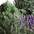 Mixed Plane Bush 03: Versatile 3D Model 3D model small image 5