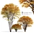 Cornelian Cherry Dogwood: 3 Tree Set 3D model small image 1