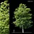 Tree Exterior: Enhance Outdoor Beauty 3D model small image 1