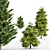 Elegant Leyland & Hinoki Cypress Trees 3D model small image 2