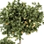 Citrus Delight: Lemon Tree and Bush 3D model small image 4